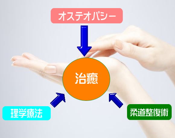 オステオパシー 理学療法 整骨